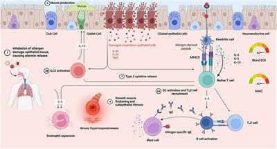 Effects of biological therapies on patients with Type-2 high asthma and comorbid obesity